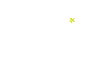 CafePeregrino